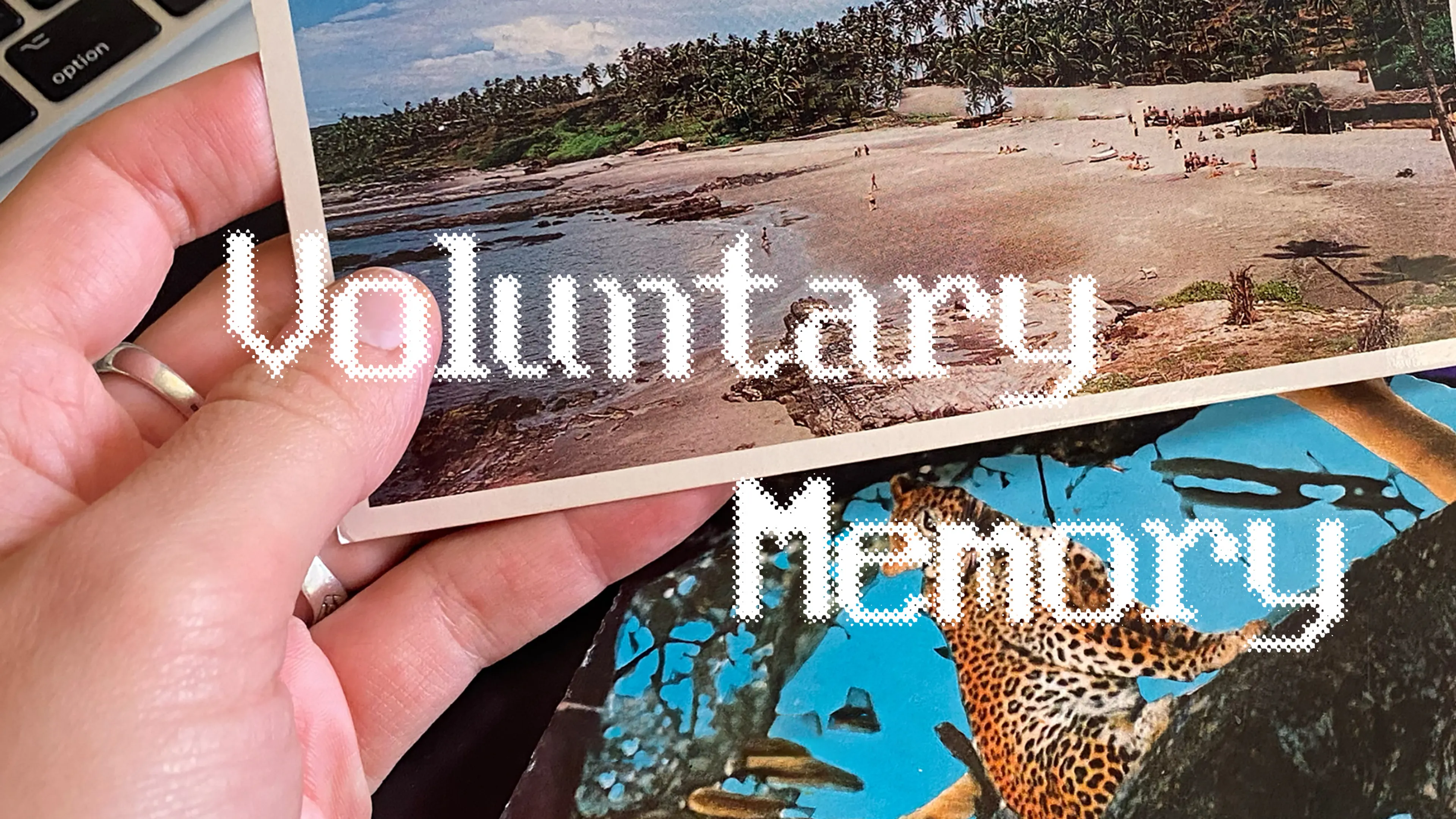 Voluntary Memory poster